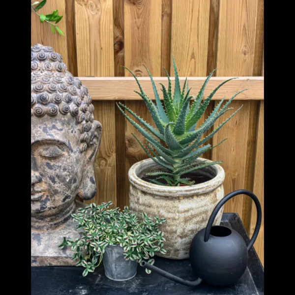 Västanvinden Buddhahuvud antikgrått