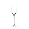 Aida Champagneglas 2-pack passion connoisseur