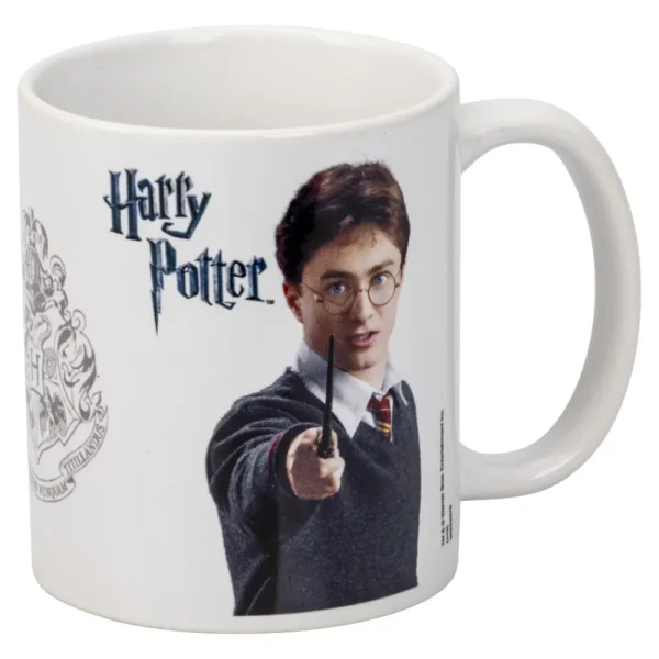 Hisab Joker Mugg Harry Potter