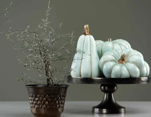 Alot Decoration Pumpa minty avlång